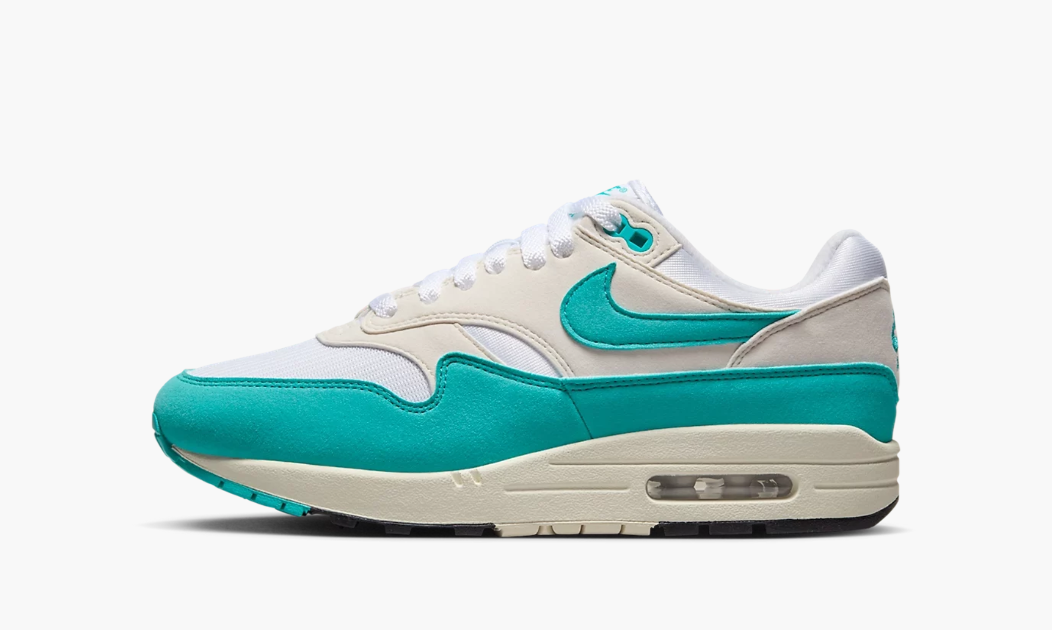 Nike Air Max 1 Dusty Cactus