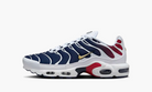 Nike Air Max Plus PSG