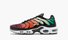 Nike Air Max Plus Rainbow