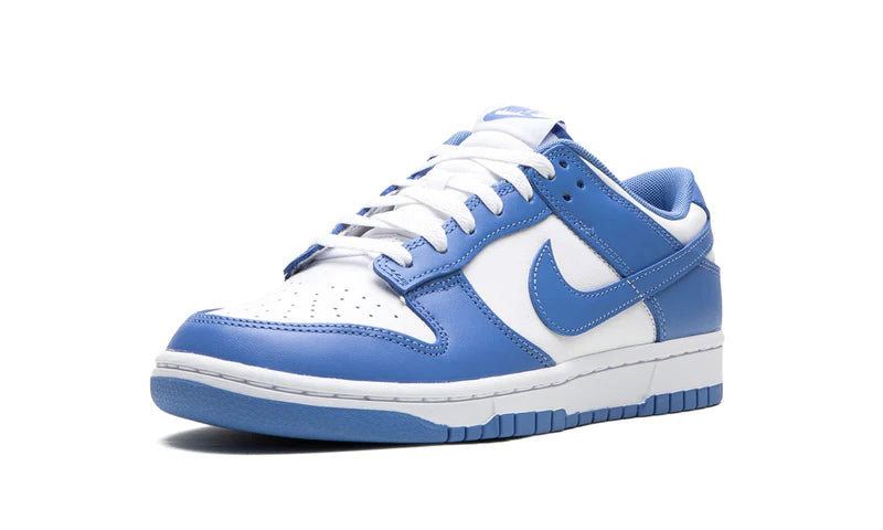 Nike Dunk Low Polar Blue