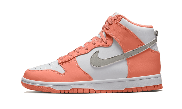 Nike Dunk High Salmon Grey